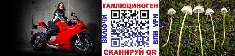 Псилоцибиновые грибы MAGIC MUSHROOMS  продажа наркотиков  Павловская 